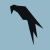 Parrot 5.3